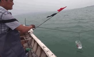 海上直播赶海视频,山东海阳赶海直播