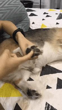 把车标全部抠掉违法吗,把车标抠下来清灰