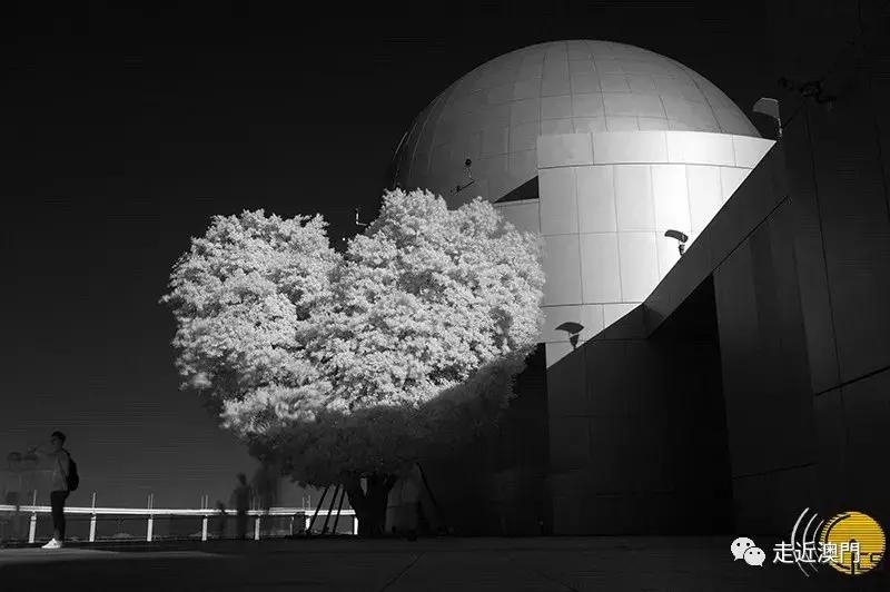 镜头里的澳门这里很小但真的很美,澳门的城市一角别具一格