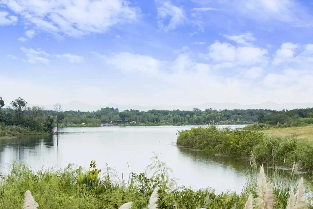 成都必去景点线路攻略推荐,成都旅游地铁附近旅游攻略