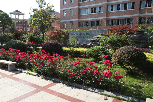 江苏省吴江明珠高级中学,江苏横林高级中学校花