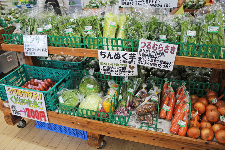 冲绳离岛推荐,冲绳本岛离岛