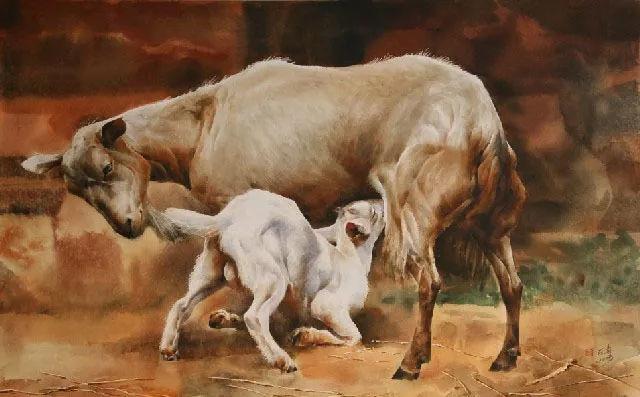 万爱千恩这首歌完整版,万爱千恩这首歌的感慨