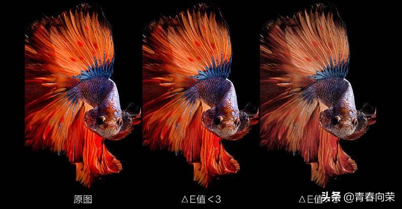 电脑显示器选购注意事项及要求,选购电脑显示器有哪些注意事项