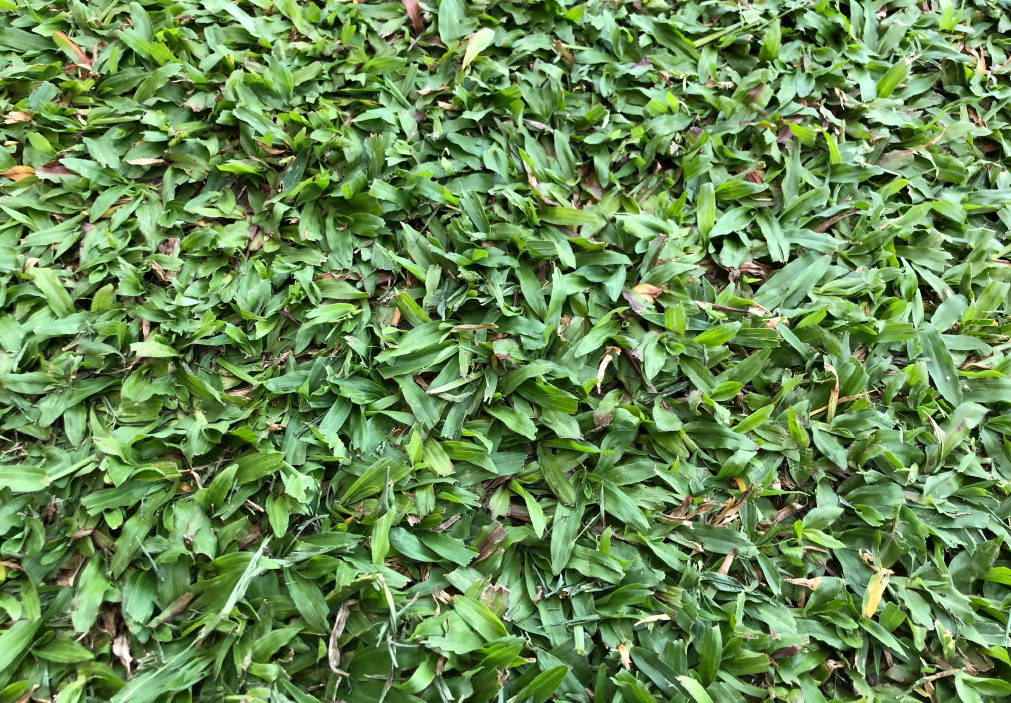 高难度停球+配合！艾克森国足首秀献世界级表演！30秒后“出糗”