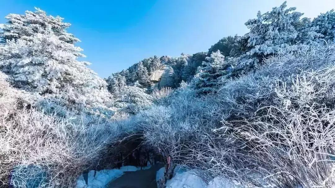 徒步登华山,徒步爬华山最佳路线攻略图片高清