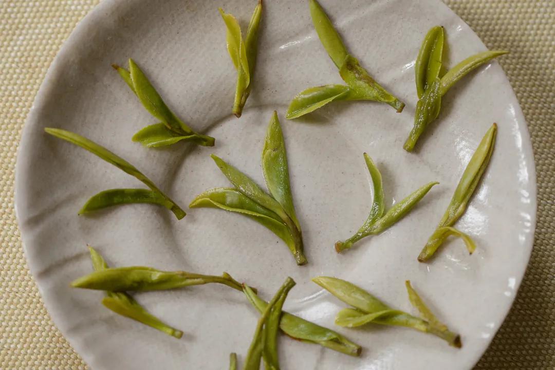 如何品茶才知绿茶好坏,绿茶品鉴方法