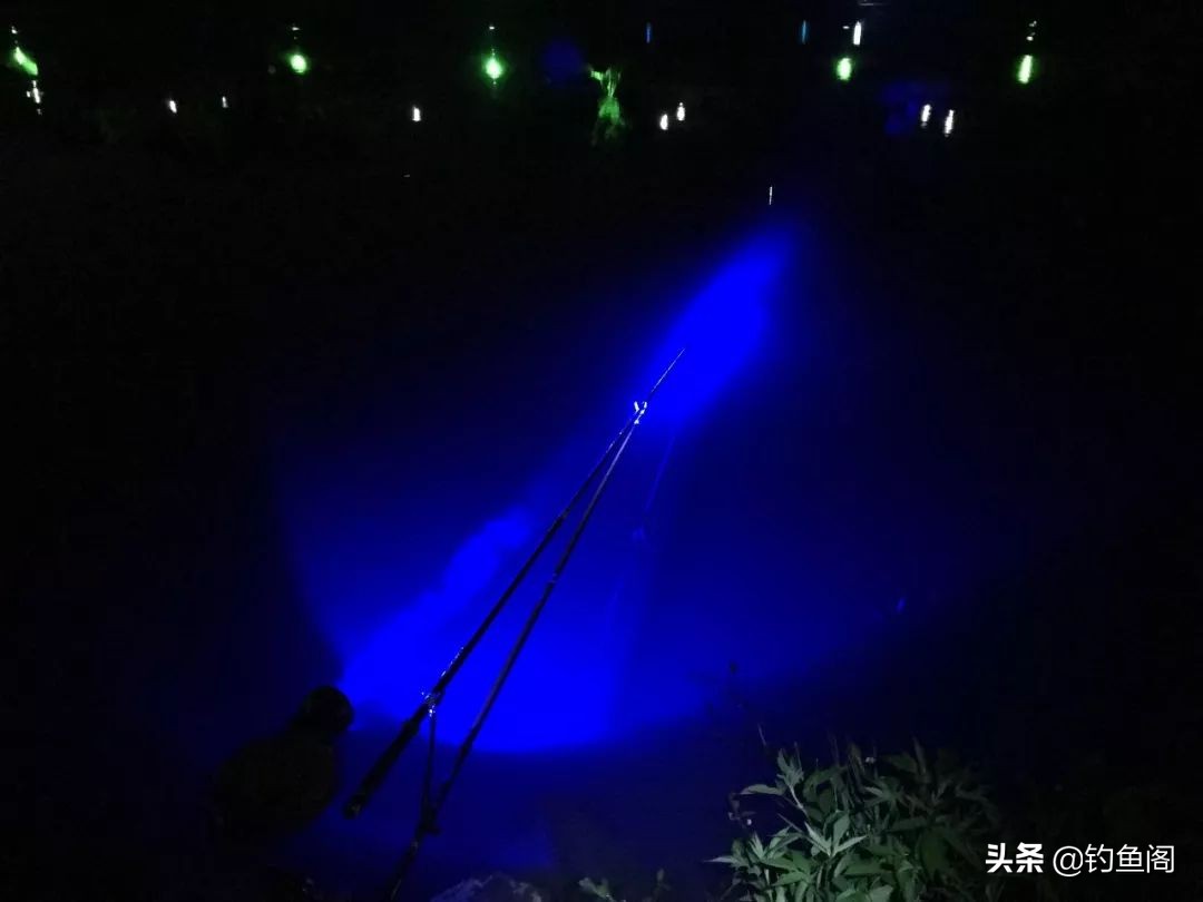 钓鱼的7大害处是什么,钓鱼的5个禁忌有哪些呢