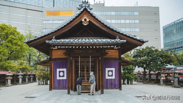 邮轮游选择哪个游轮好,邮轮旅游全攻略公主号