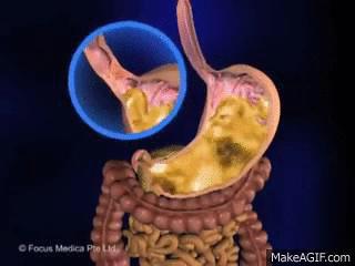 其实你每天都要喝1500毫升鼻涕，不想喝也得喝