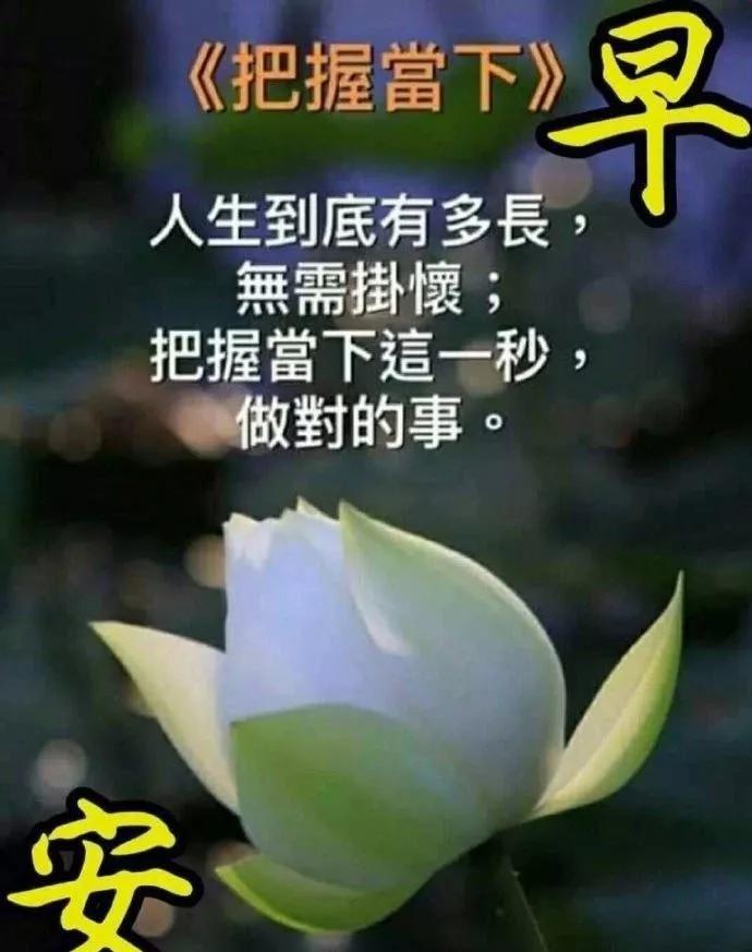 多一份淡泊人生就多一份幸福早安,清心寡欲淡泊名利的下句