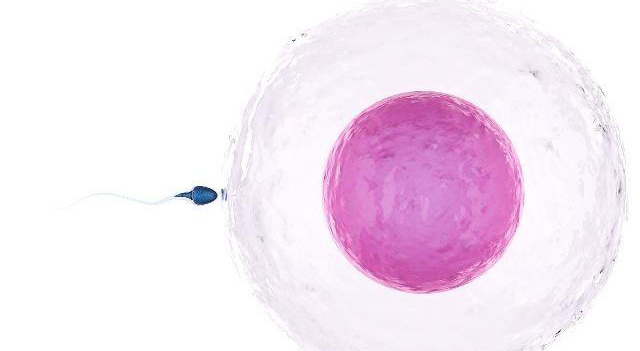 女性在排卵有什么感觉,女生排卵的时候都有哪些表现