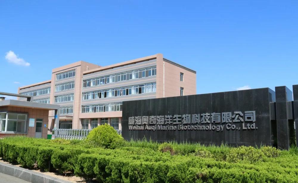 高质量发展项目清单,高质量发展项目汇报