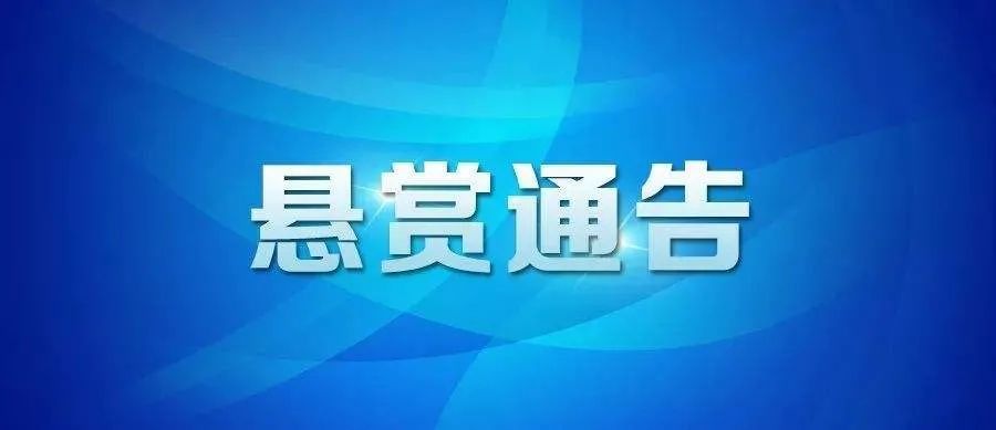 澳洲野兔泛滥成灾上演人兔大战,野兔在澳洲泛滥成灾多久了
