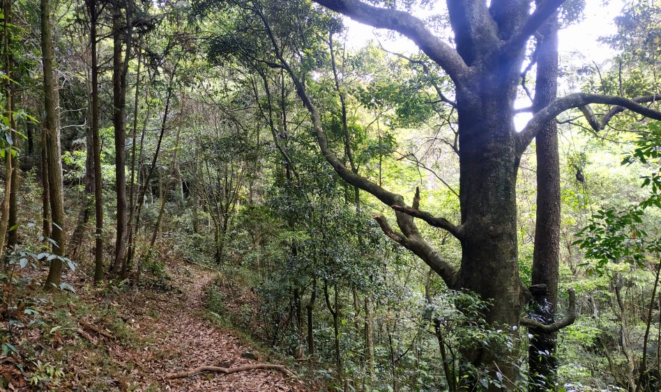 福州南屿古道旅游,福州南屿温泉水疗