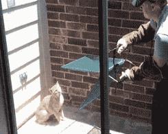 30种网赚骗术套路揭秘超深度干货,常见的20种网赚骗术揭秘