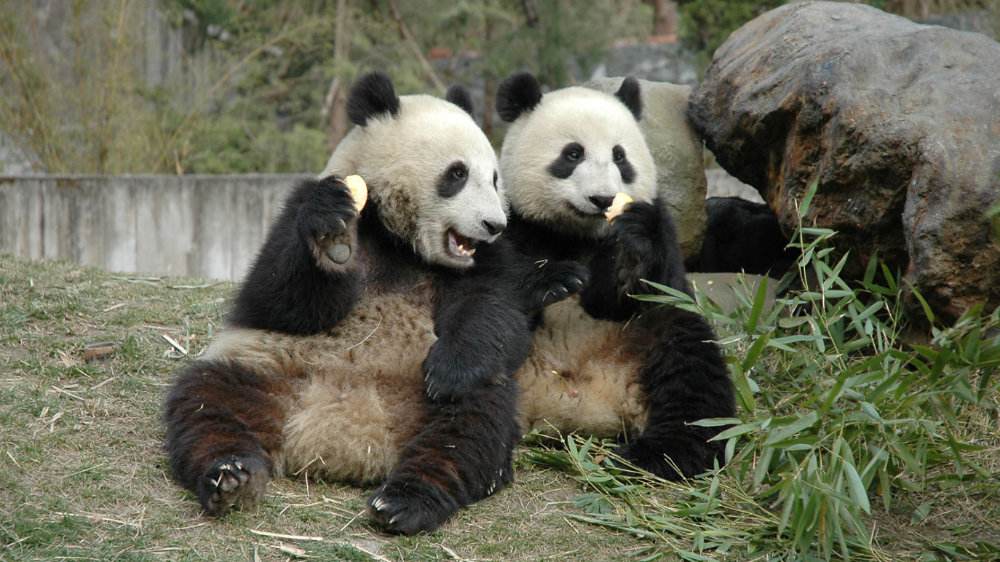 跟不如自己的领导如何相处,与比自己差的同事怎么相处