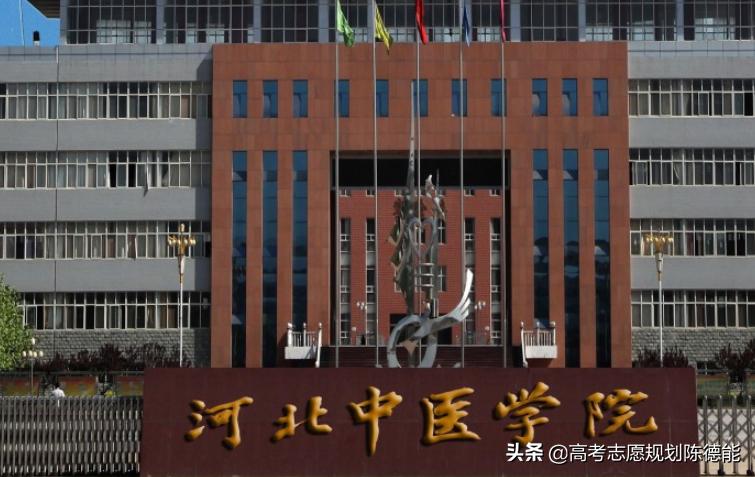 南方医科大学中医学科评估,中医学科排行榜前十名