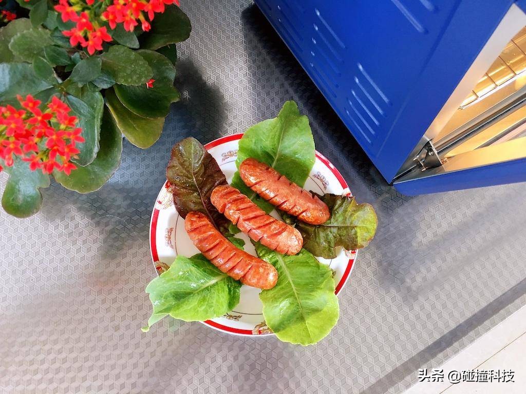 aca空气炸锅电烤箱一体使用说明,aca北美电器烤箱