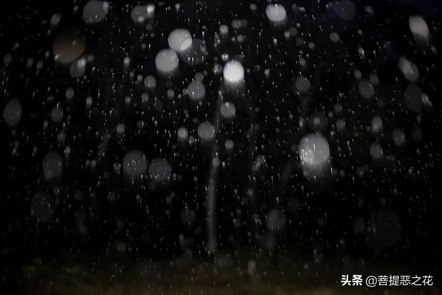 欲望的原则,欲望潜伏期