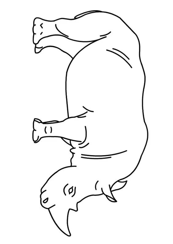 画画入门教程干货博主,基础入门画画必知