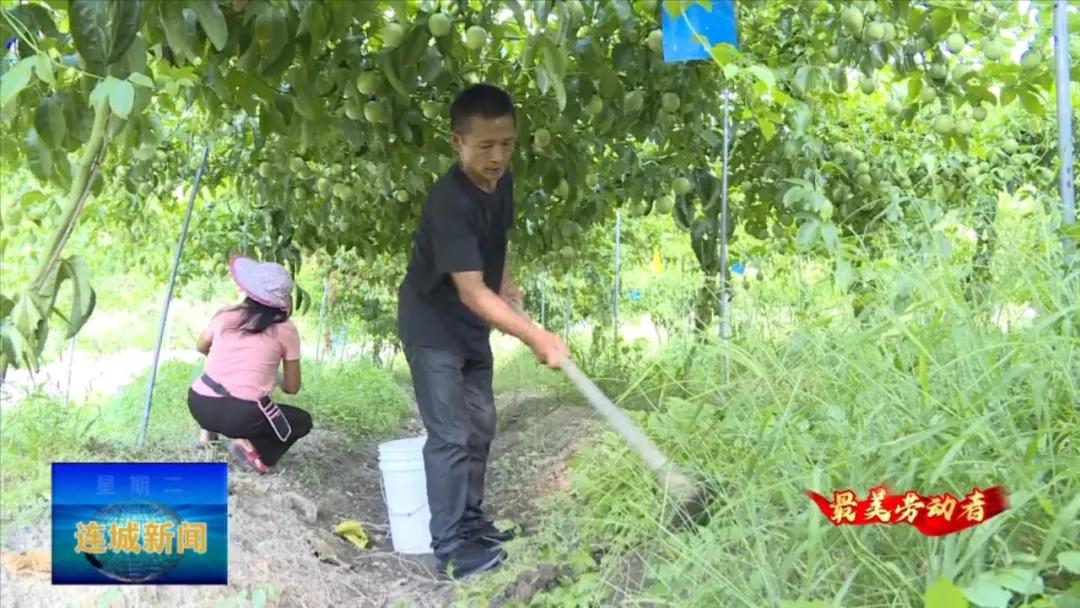 最美劳动者先进个人事迹,最美劳动者人物事迹湖北