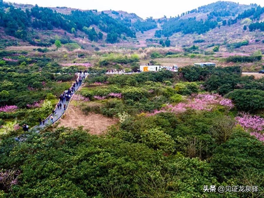 回眸十三五巨变,回眸十三五成果