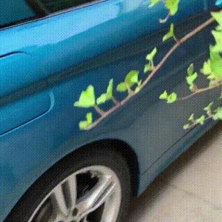 流浪哈士奇偷吃狗粮,哈士奇被饿骨瘦如柴