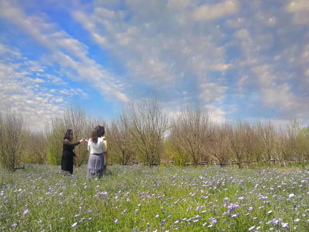 重庆冷门免门票旅游景点推荐,跟着攻略走畅游重庆七大特色景区