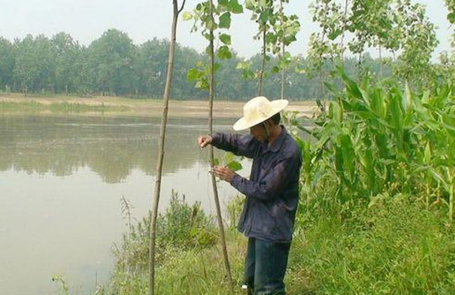 渔人钓鱼技巧视频,祖传千年钓甲鱼秘方