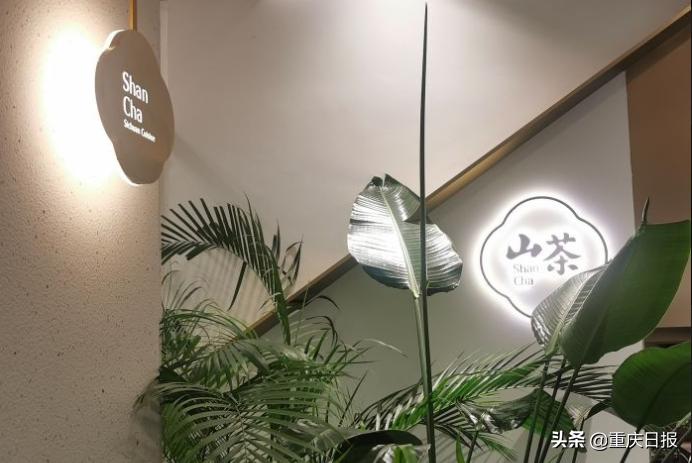 渝北空港保税轻轨三号线,渝北轻轨3号线到江北机场路线