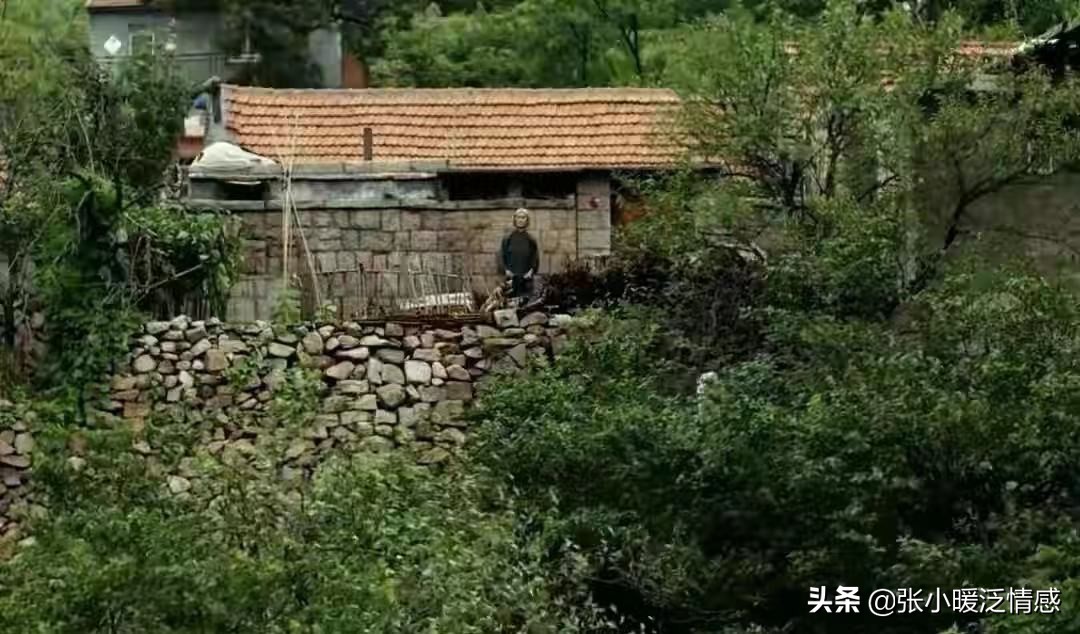 父母爱情张桂兰出轨被堵,父母爱情他为啥和张桂兰离婚