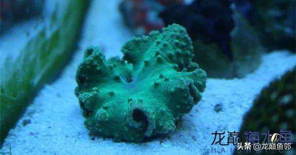 说出来都是泪！只有新下海的人才能体会这种痛，简直是全军覆灭