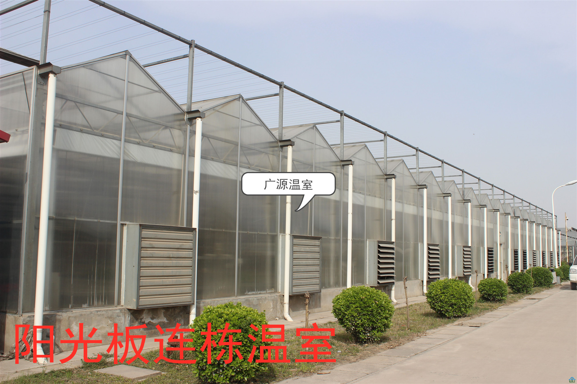 单栋温室大棚建设造价多少钱,连栋温室大棚造价多少钱一平