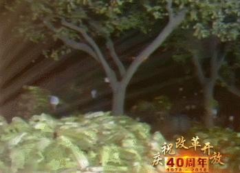 国内最坑人的十种美食,十大最恶心中国美食