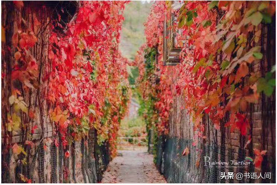 古北水镇打卡攻略,古北水镇长城一日游攻略