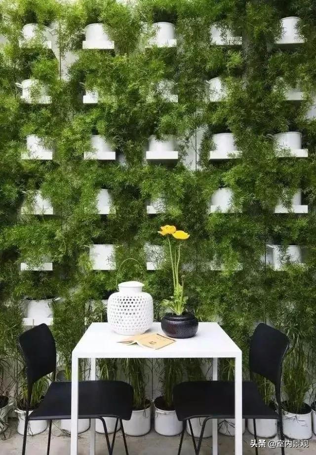 植物花园墙,植物墙与永生植物墙不同