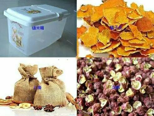 夏天如何防止面粉变质生虫,防止面粉生虫的小妙招