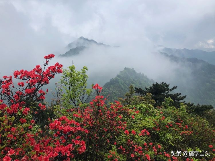 初夏游江西：历经晴、雨、雾，穿越武功山