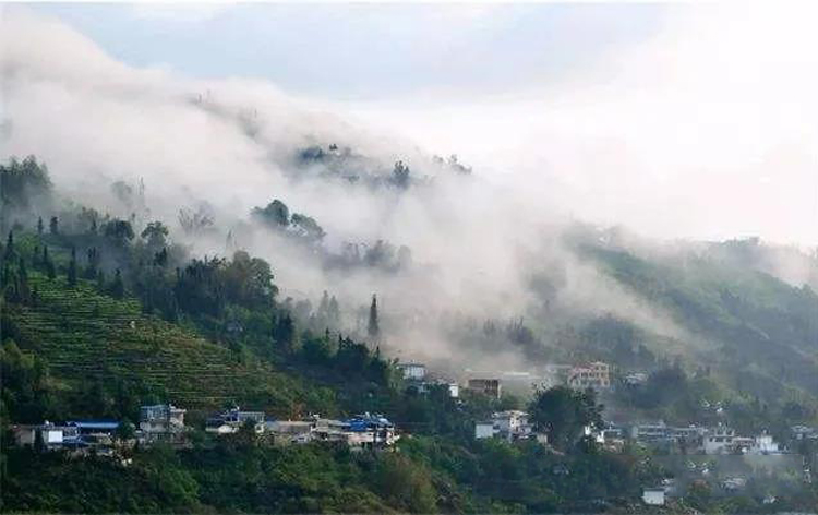 每个山头的普洱茶都有什么区别,云南十大名山头普洱茶排名