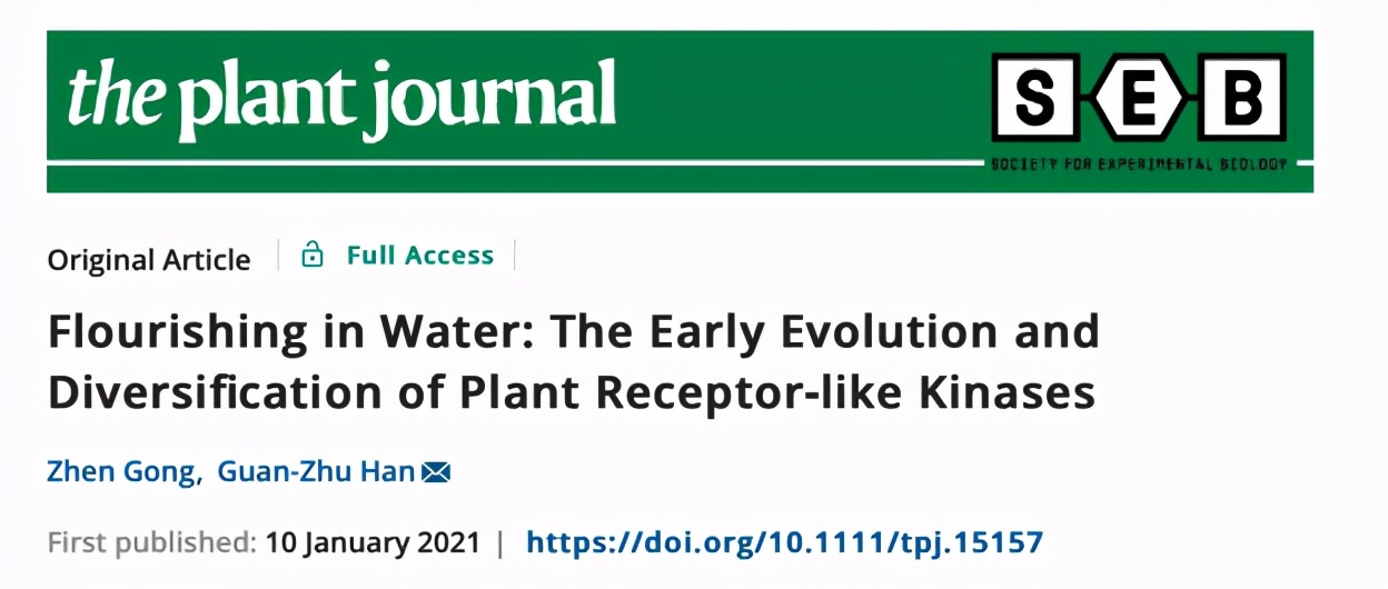 南师大的专项技术有哪些,南大科研成果入选十大科技进展