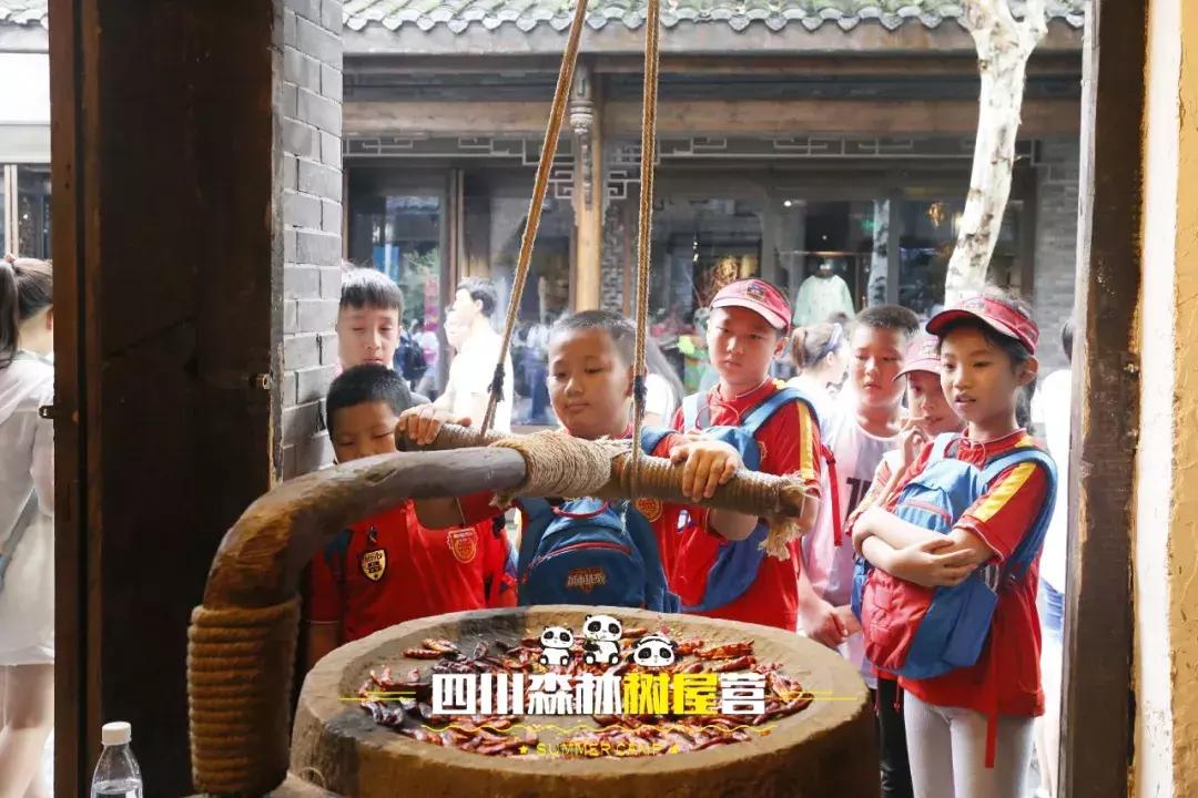 厉害了!这几个小学生竟然花了5天时间在森林里造了一个......