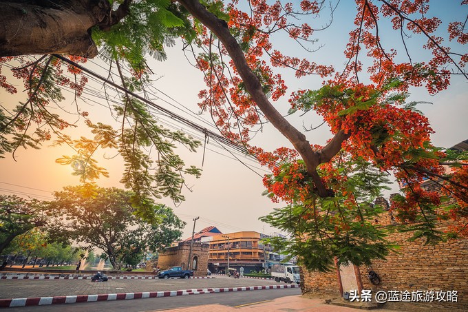 清迈美食,泰国清迈美食推荐