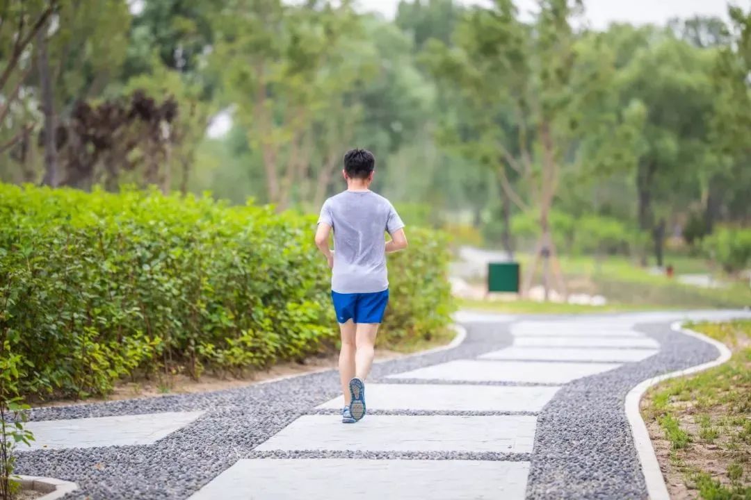 去看万紫千红的花海,五一近郊赏花去看缤纷七彩花田