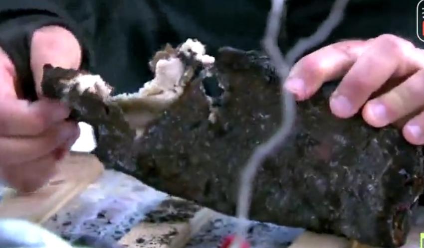 河狸皮毛的优点,河狸皮毛十分名贵