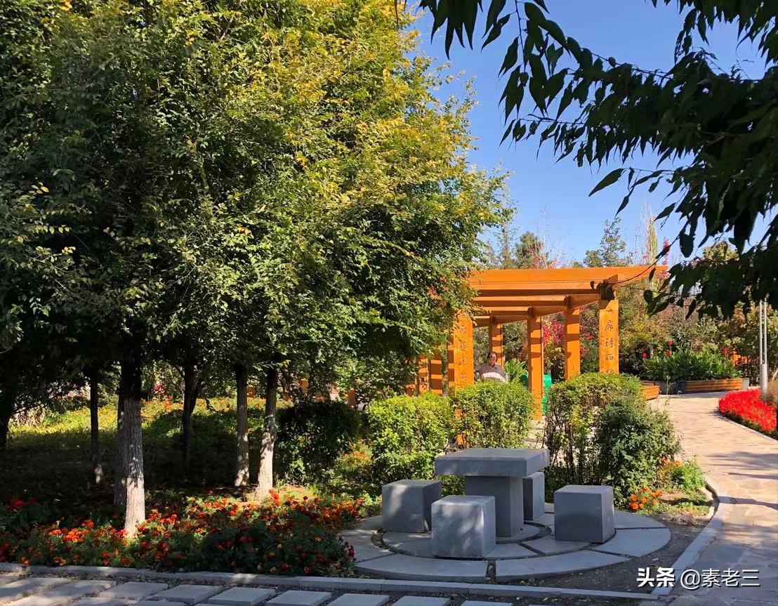 女作家去做保姆101集,女作家去做保姆最新篇920