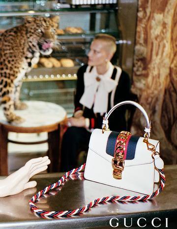 古驰gucci基础系列,古驰品牌故事完整版