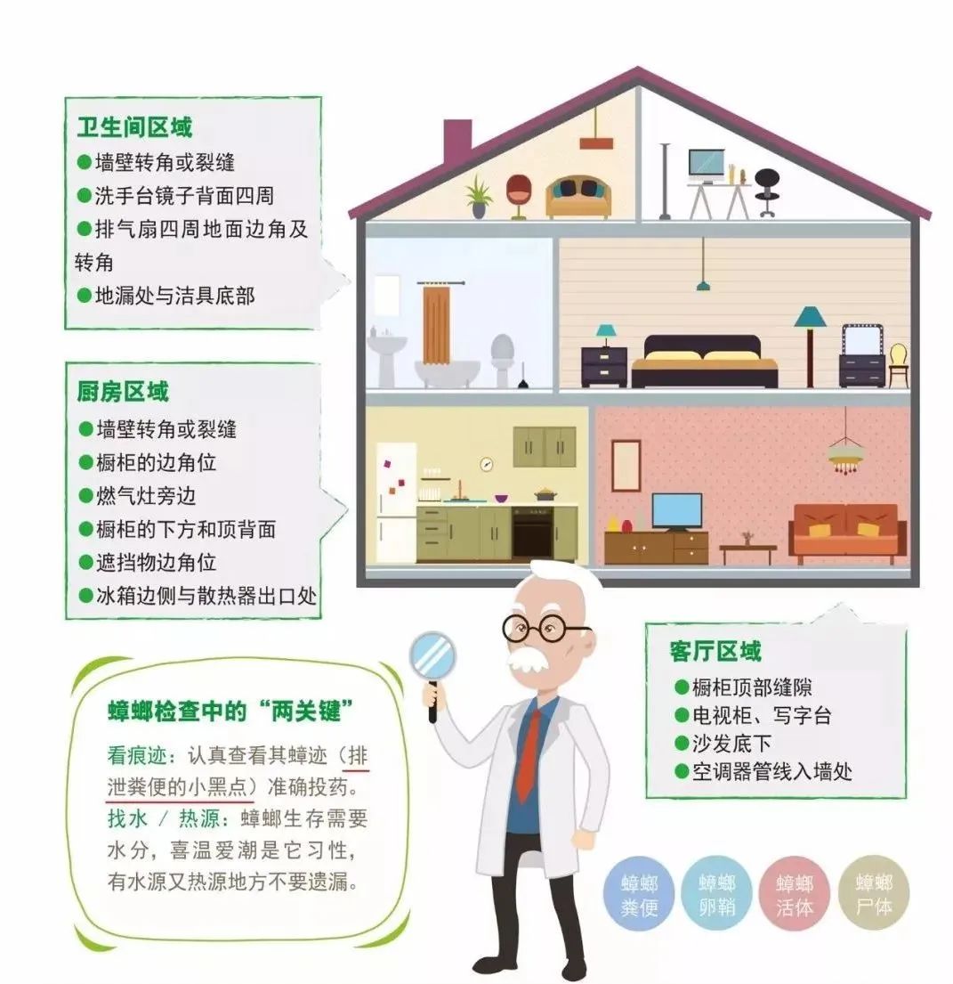 家中蟑螂怎么消灭最彻底,灭蟑王药是怎样消灭蟑螂的