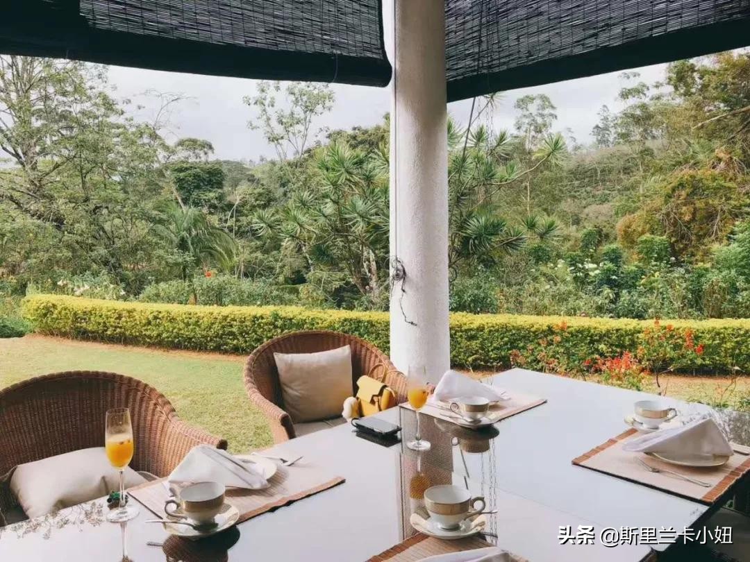 斯里兰卡带孩子游玩,斯里兰卡安缦