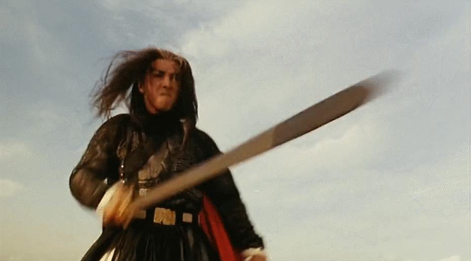 甄子丹最巅峰武打片,甄子丹功夫排第几